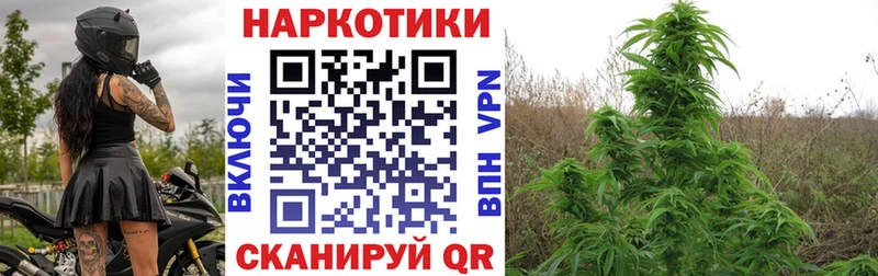 Где купить наркотики Кубинка Гашиш  Каннабис  A-PVP  Меф  Кокаин 