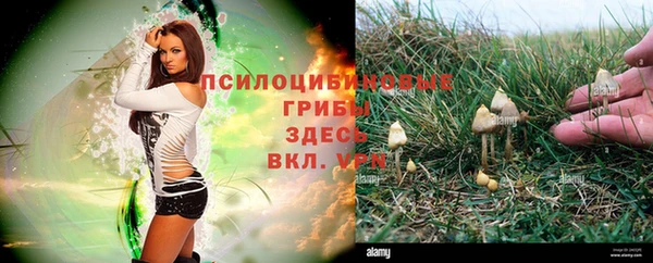 соль курить ск Нефтегорск