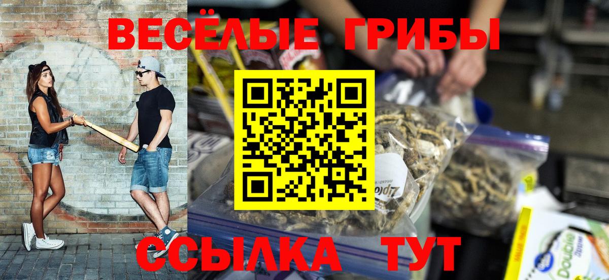 Галлюциногенные грибы GOLDEN TEACHER  Вход с VPN  Кубинка 