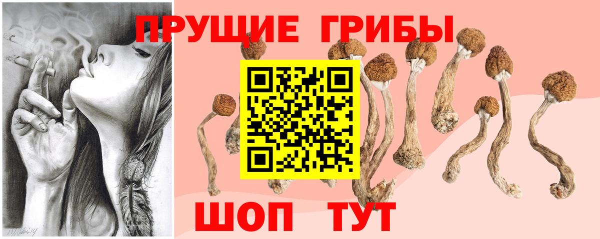ГАШ Кубинка